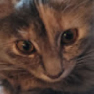 Meet your Posher, Moody